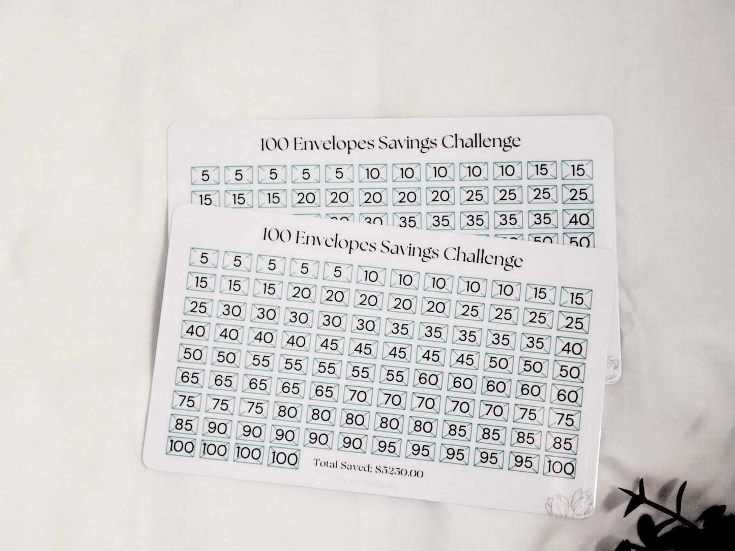 Newbie? Savings Challenges for You