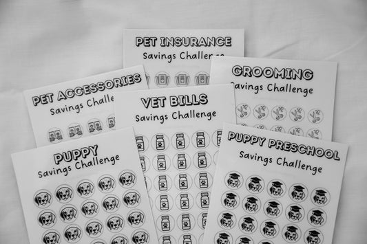 Pet Savings Challenges