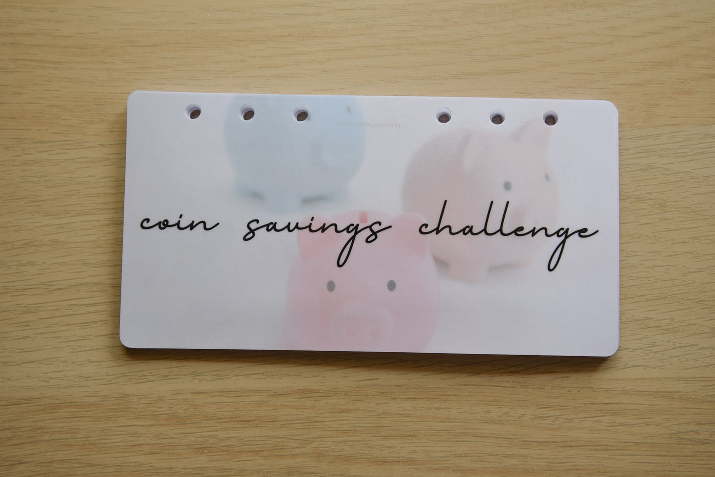 Coin Savings Challenges